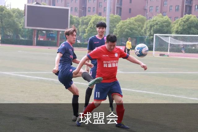 球盟会 公司简介